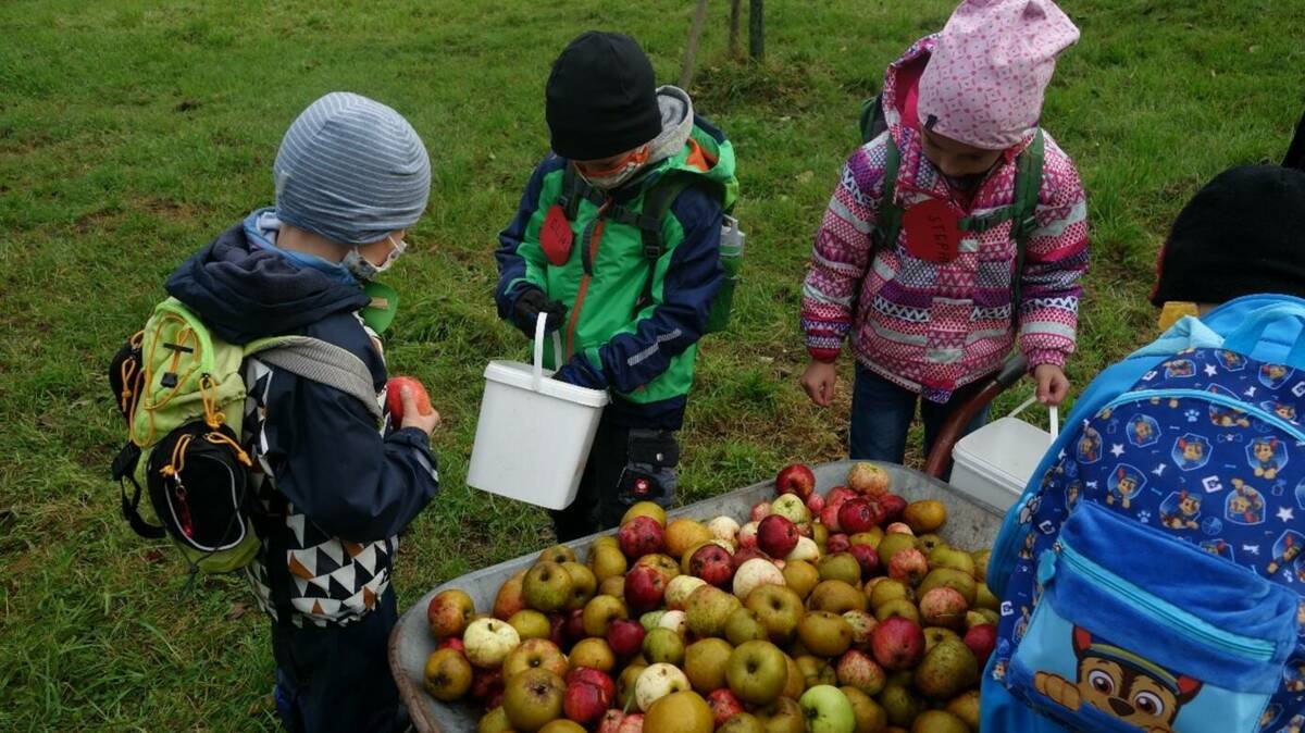 Bild Projekttag Streuobstwiese 2022